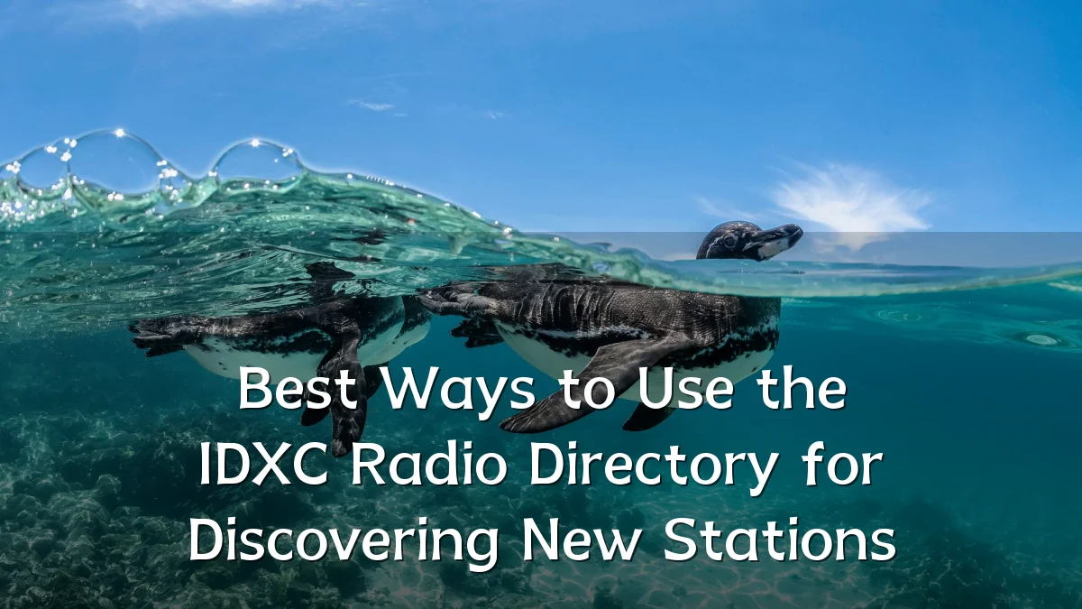 Best Ways to Use the IDXC Radio Directory for Discovering New Stations