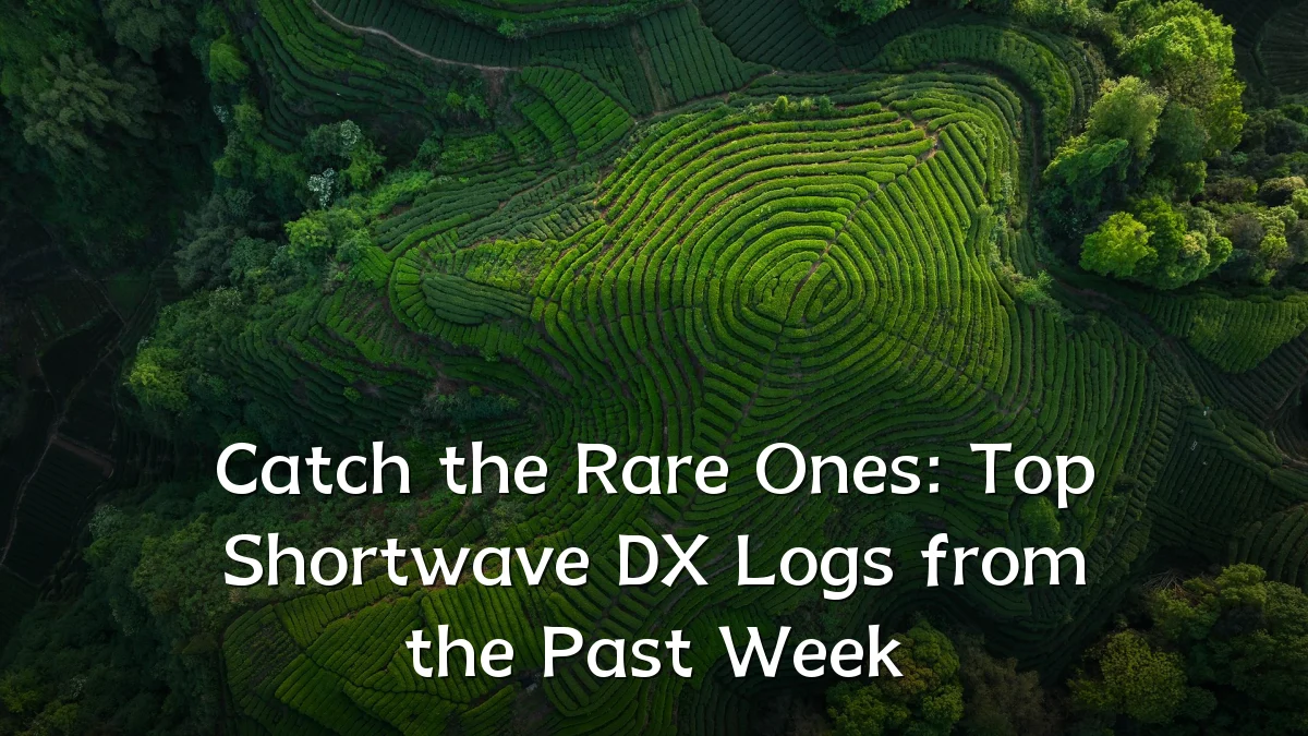 Catch the Rare Ones: Top Shortwave DX Logs from the Past Week