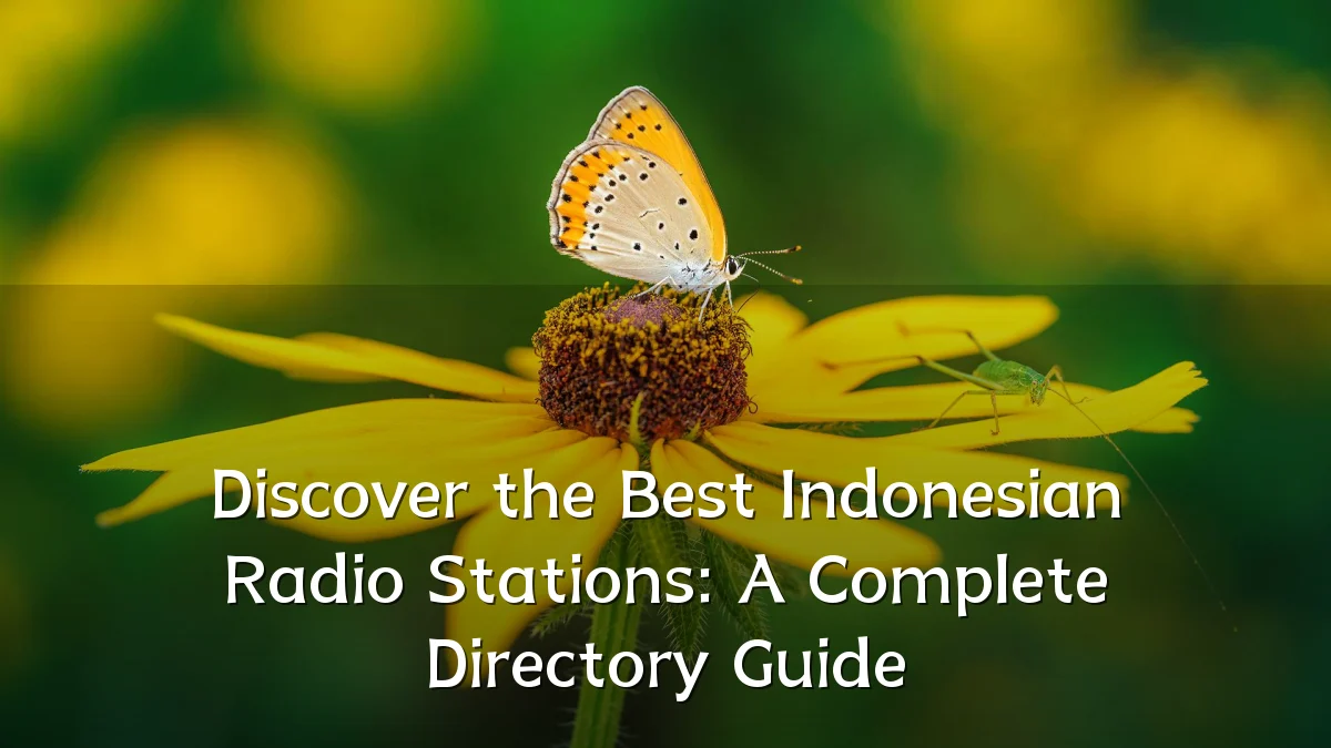 Discover the Best Indonesian Radio Stations: A Complete Directory Guide