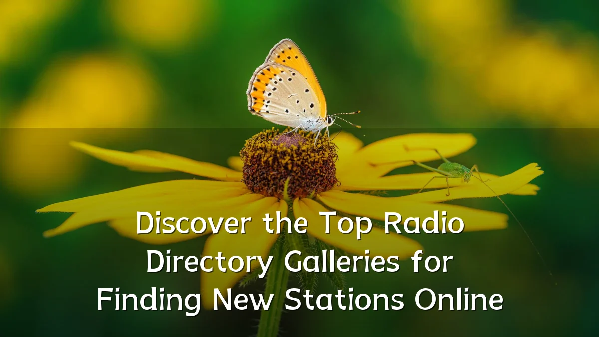 Discover the Top Radio Directory Galleries for Finding New Stations Online