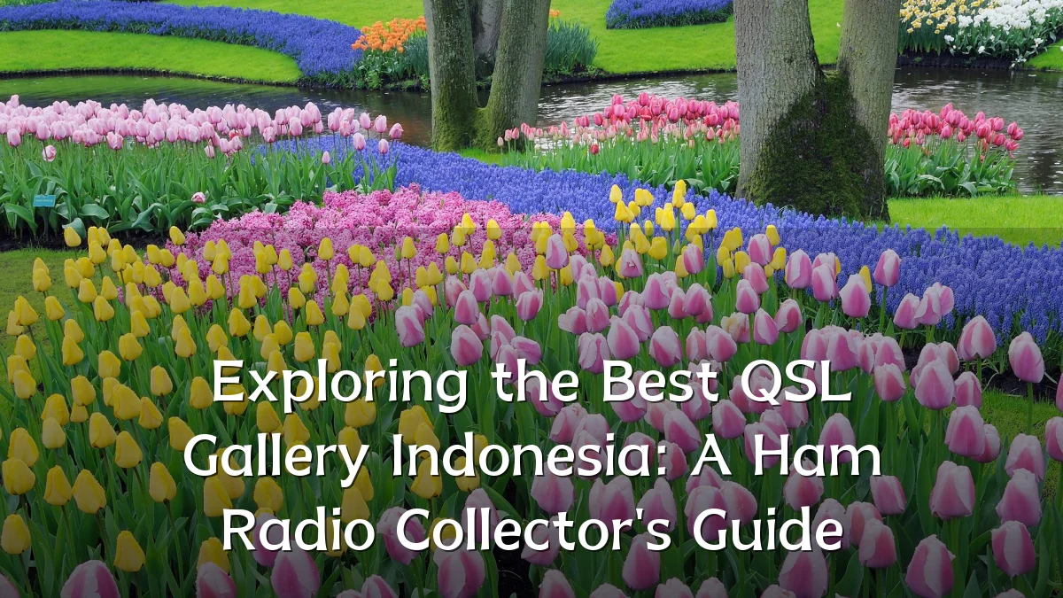 Exploring the Best QSL Gallery Indonesia: A Ham Radio Collector's Guide