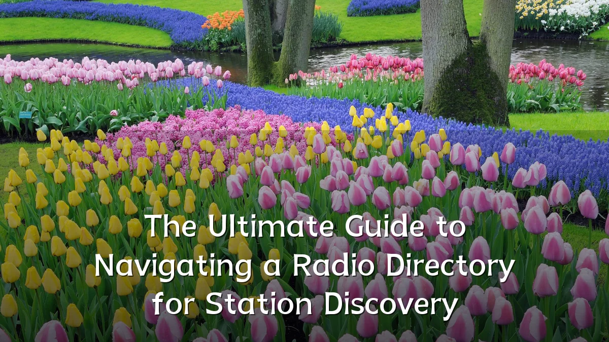 The Ultimate Guide to Navigating a Radio Directory for Station Discovery