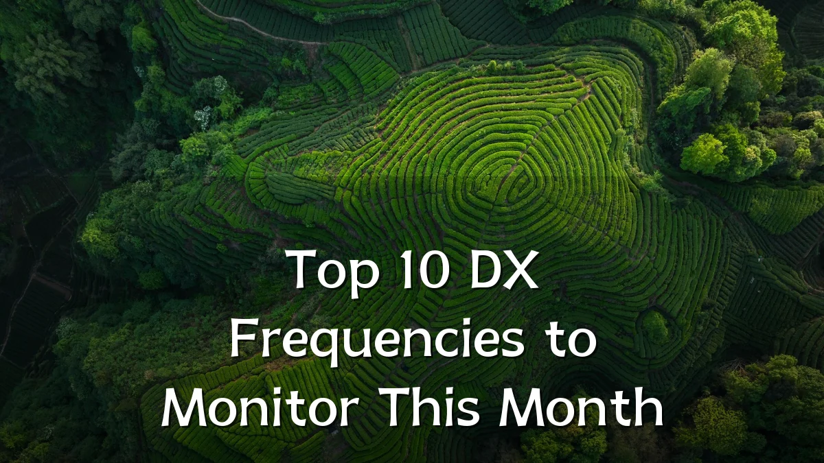 Top 10 DX Frequencies to Monitor This Month