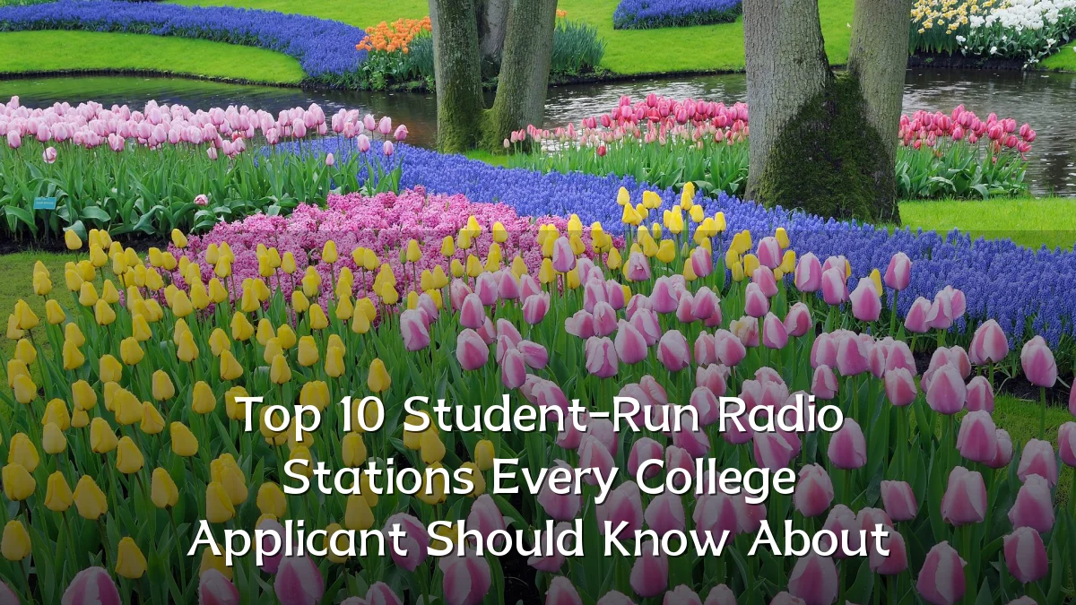 Top 10 Student-Run Radio Stations Every College Applicant Should Know About