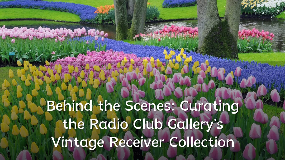 Behind the Scenes: Curating the Radio Club Gallery's Vintage Receiver Collection