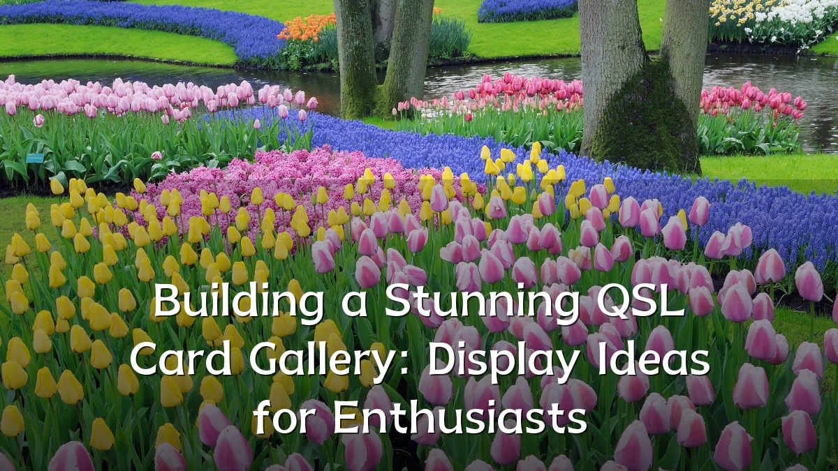 Building a Stunning QSL Card Gallery: Display Ideas for Enthusiasts