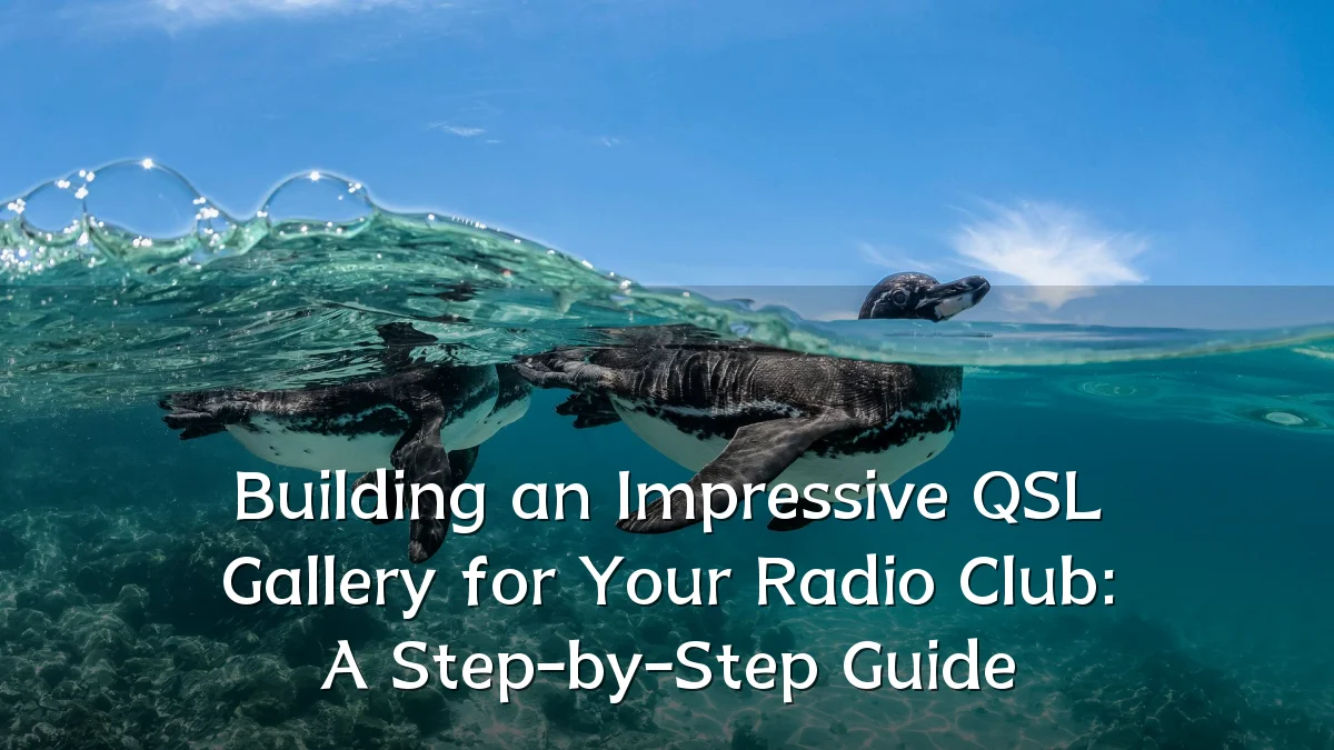 Building an Impressive QSL Gallery for Your Radio Club: A Step-by-Step Guide