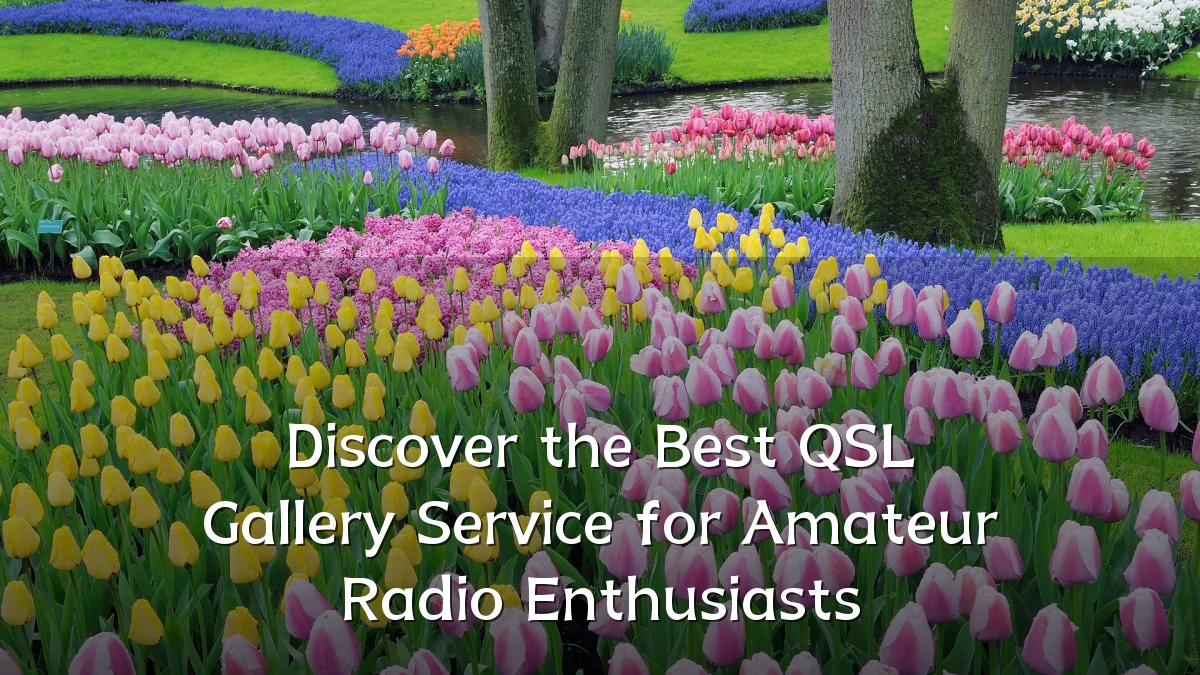 Discover the Best QSL Gallery Service for Amateur Radio Enthusiasts
