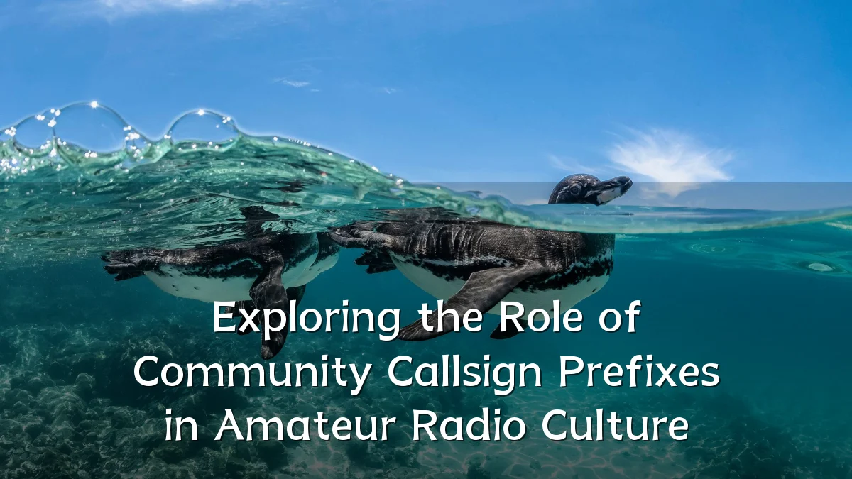 Exploring the Role of Community Callsign Prefixes in Amateur Radio Culture