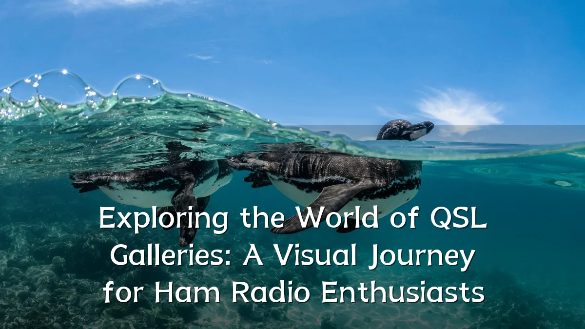Exploring the World of QSL Galleries: A Visual Journey for Ham Radio Enthusiasts