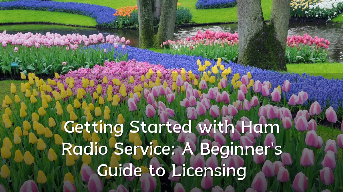 Getting Started with Ham Radio Service: A Beginner's Guide to Licensing