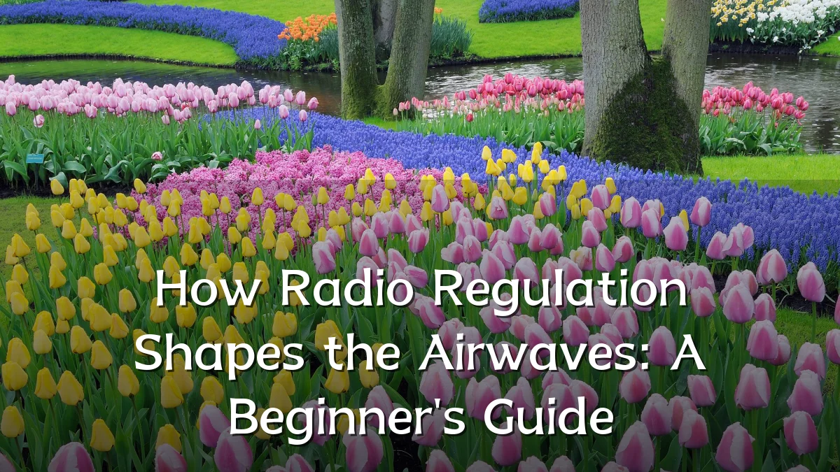 How Radio Regulation Shapes the Airwaves: A Beginner's Guide