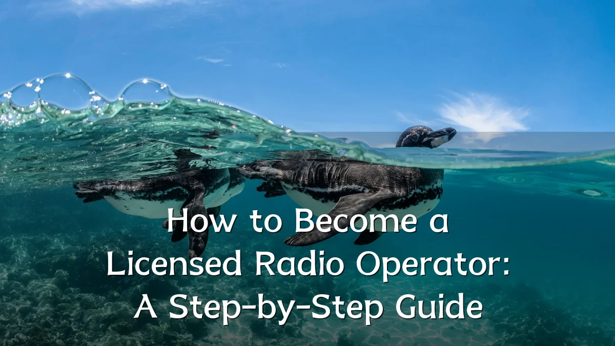 How to Become a Licensed Radio Operator: A Step-by-Step Guide