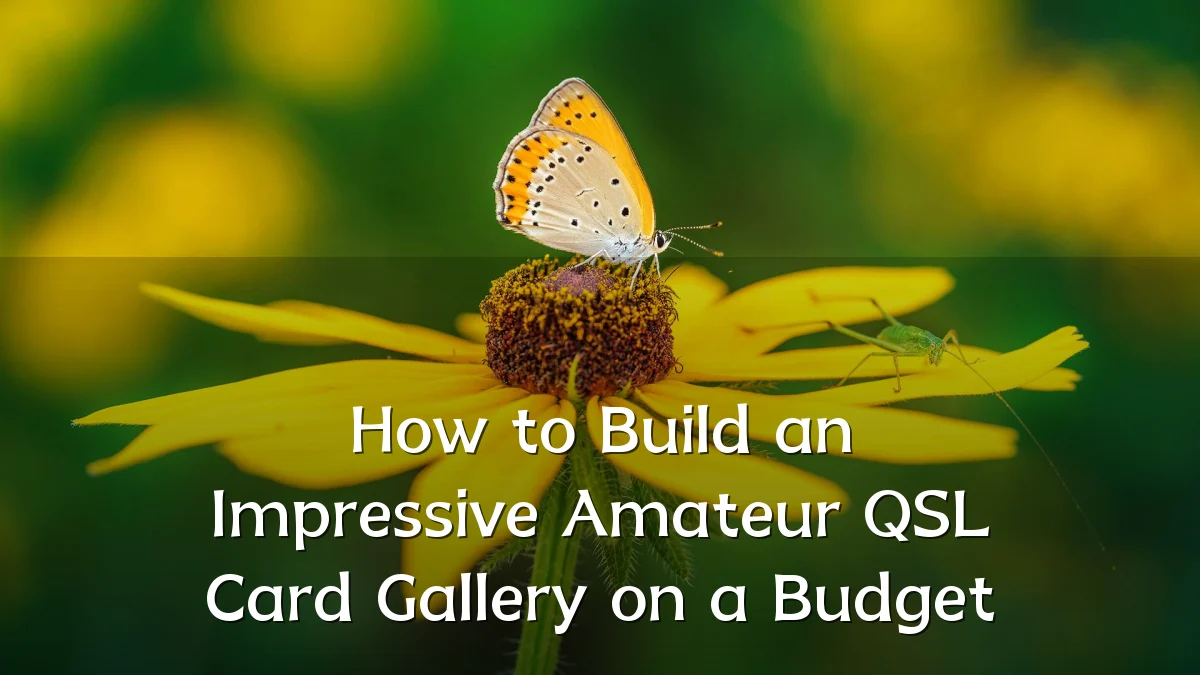 How to Build an Impressive Amateur QSL Card Gallery on a Budget