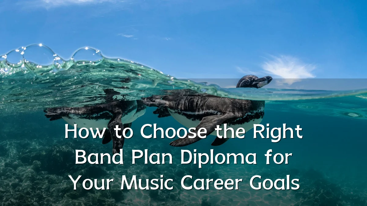 How to Choose the Right Band Plan Diploma for Your Music Career Goals