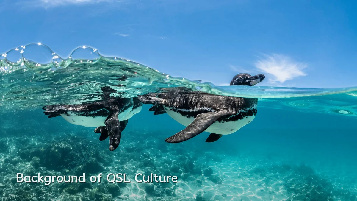 Background of QSL Culture