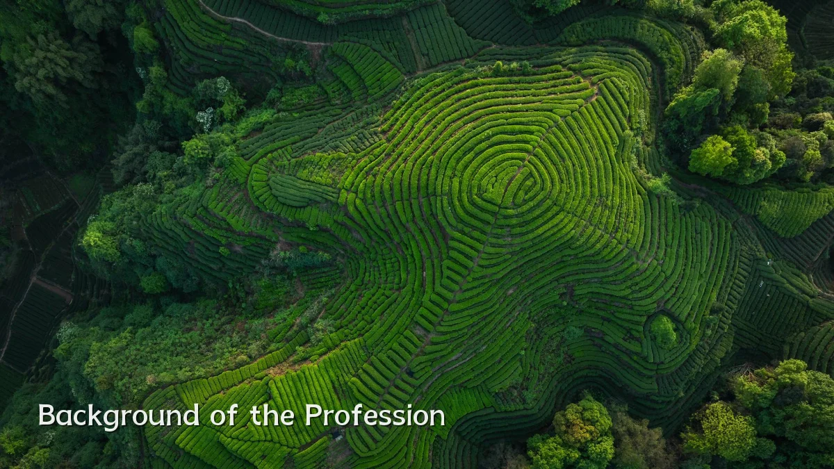 Background of the Profession