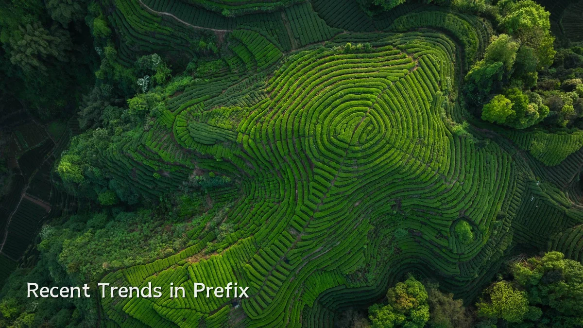 Recent Trends in Prefix