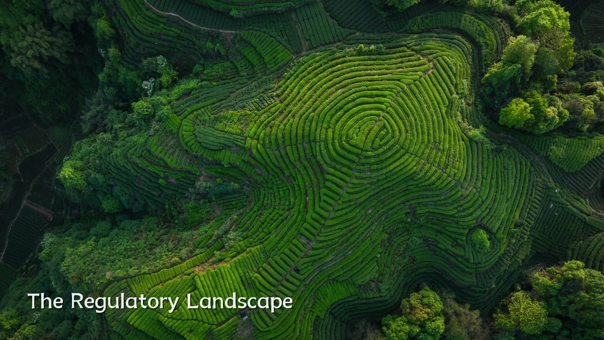 The Regulatory Landscape