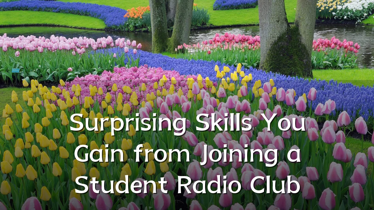 Surprising Skills You Gain from Joining a Student Radio Club