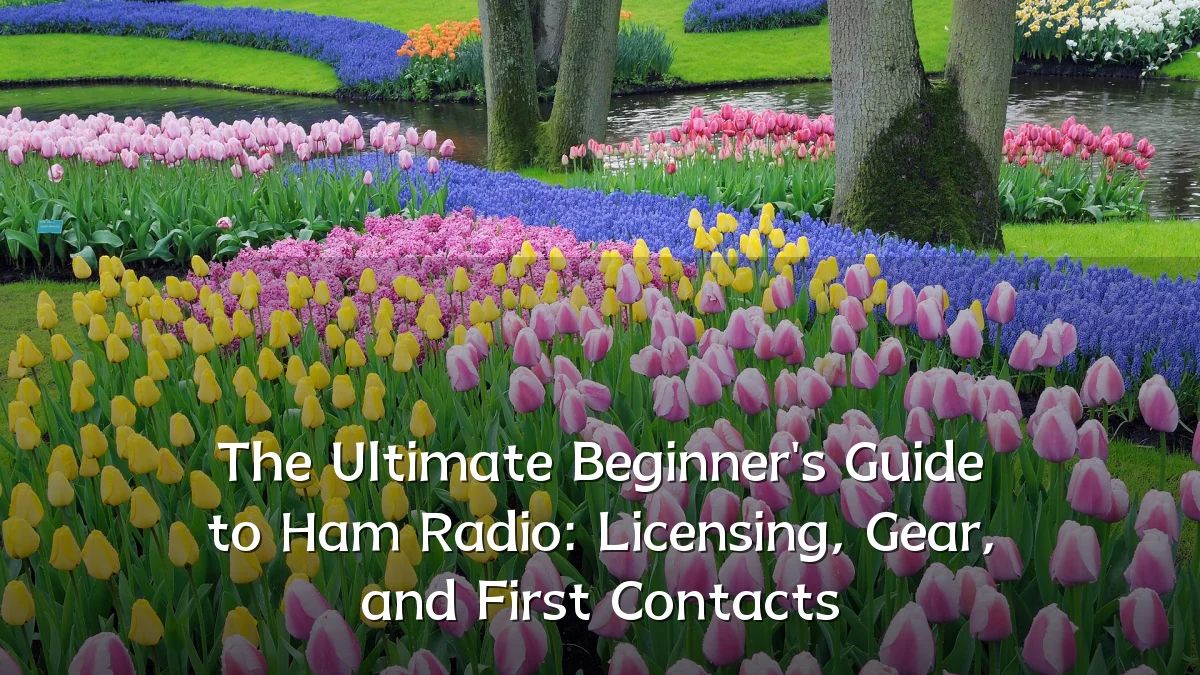 The Ultimate Beginner's Guide to Ham Radio: Licensing, Gear, and First Contacts