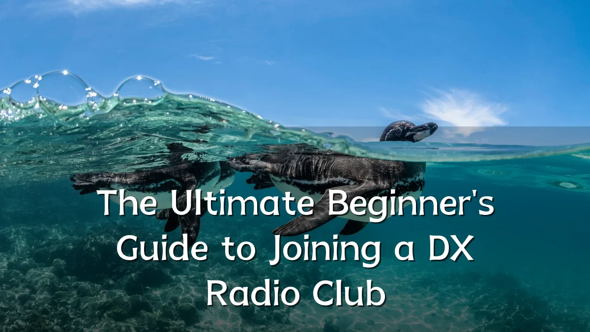 The Ultimate Beginner's Guide to Joining a DX Radio Club