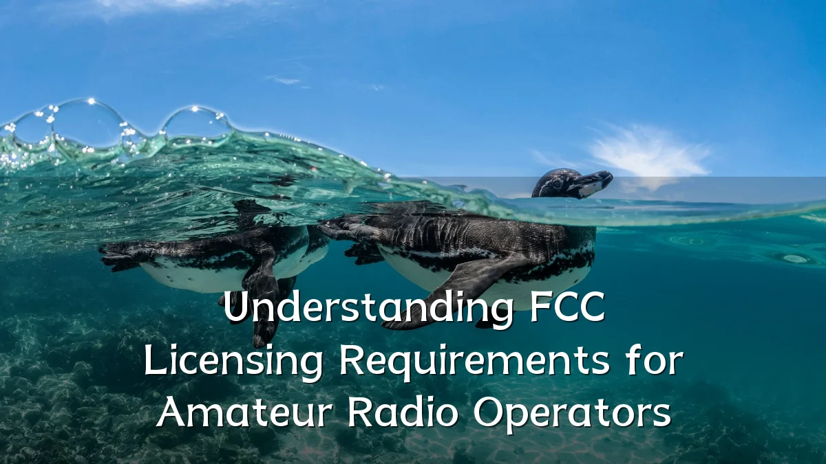 Understanding FCC Licensing Requirements for Amateur Radio Operators