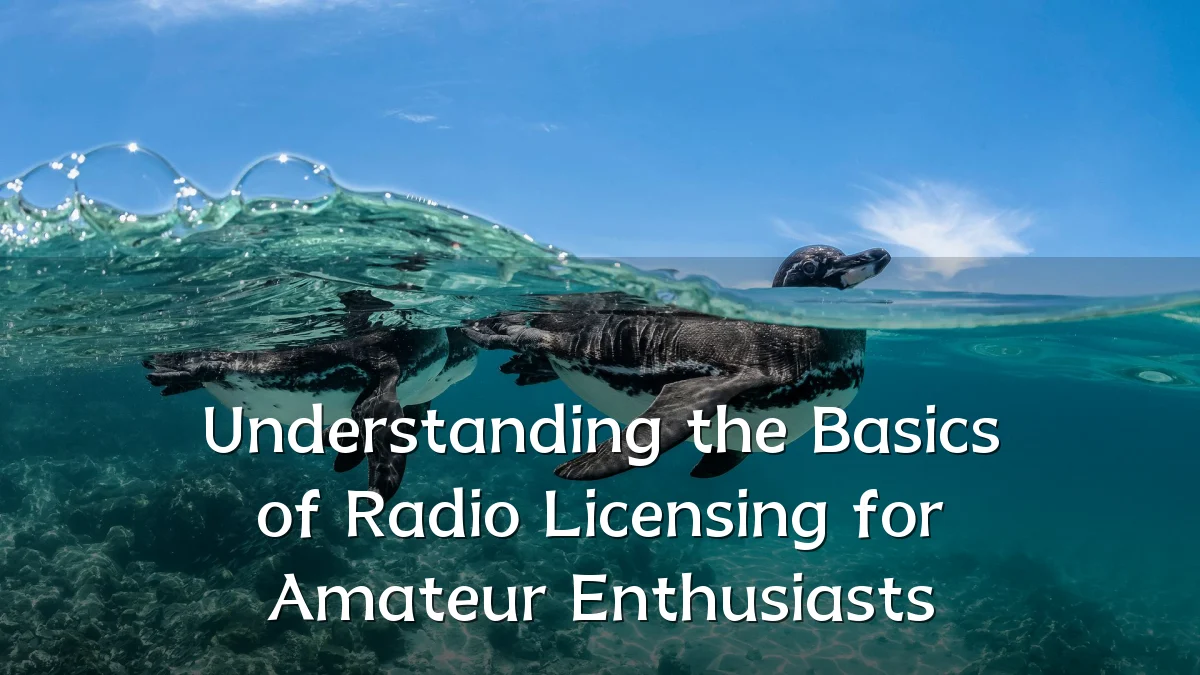 Understanding the Basics of Radio Licensing for Amateur Enthusiasts