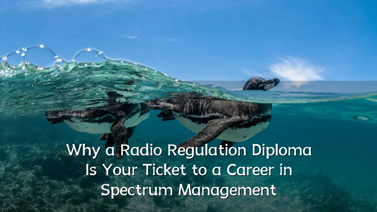 Why a Radio Regulation Diploma Is Your Ticket to a Career in Spectrum Management