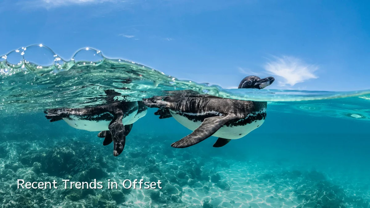 Recent Trends in Offset